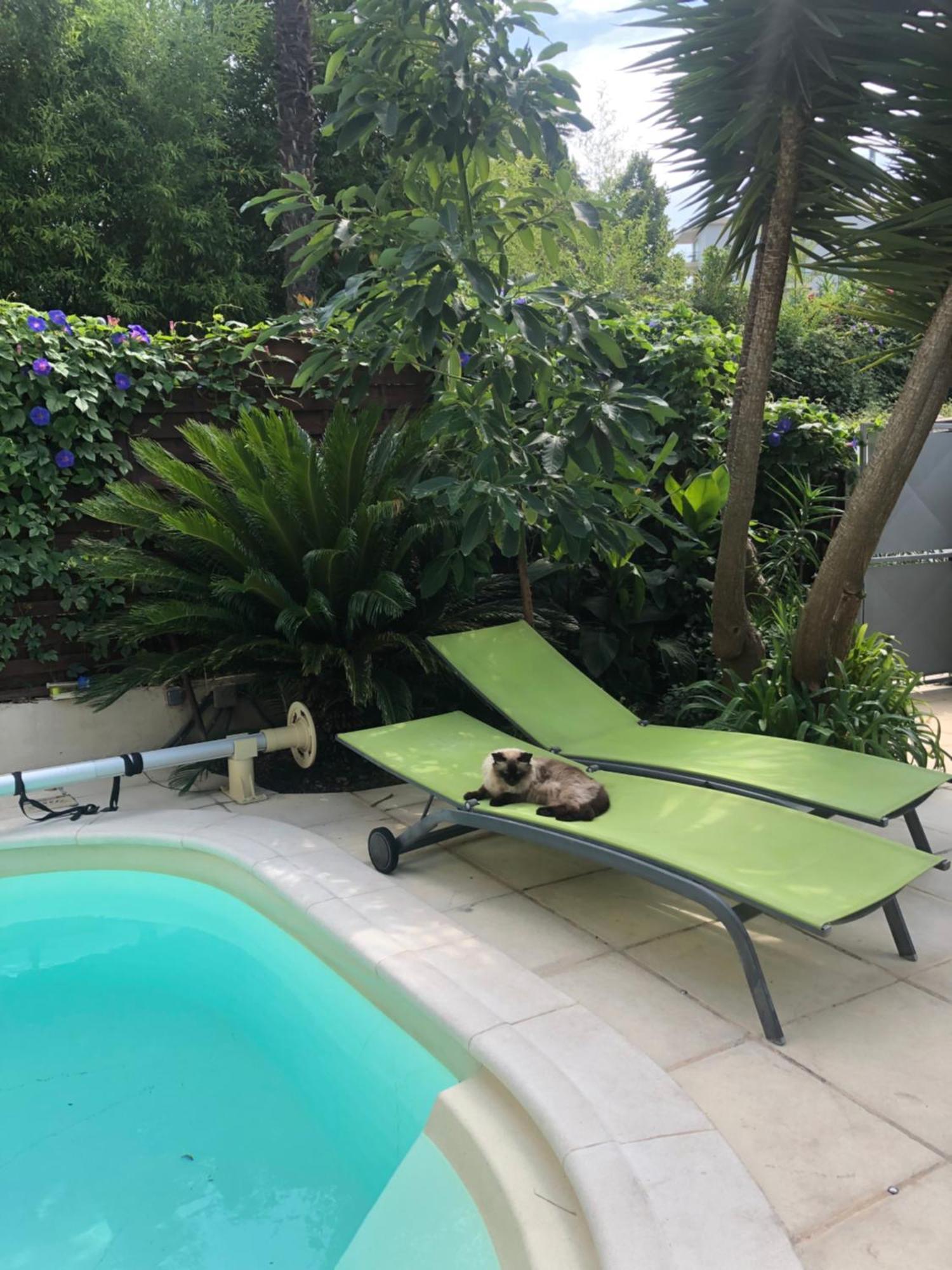 Villa Beausejour Cannes Eksteriør billede